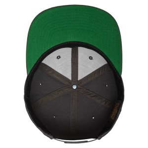 Flexfit Classic Snapback Cap