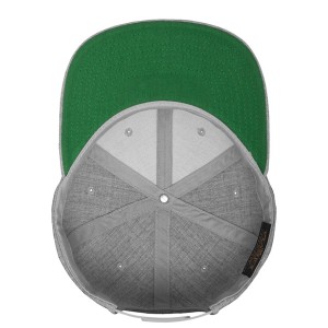 Flexfit Classic Snapback Cap