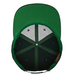 Flexfit Classic Snapback Cap